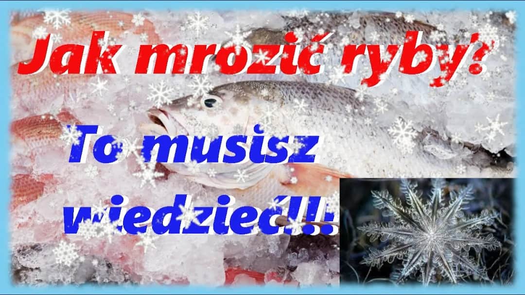 Jak długo mrozić ryby? Ekspert radzi, by smakowały jak świeże