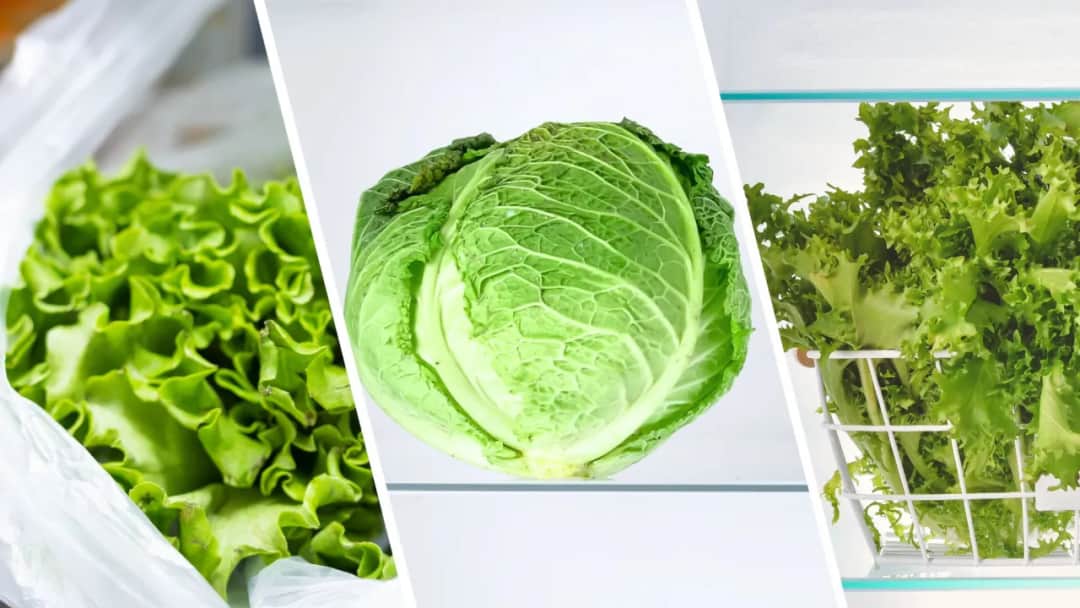 Sałata świeża na dłużej? Odkryj sekrety przechowywania w lodówce!