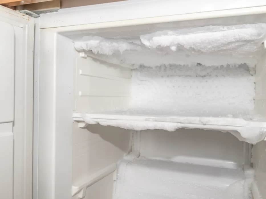 No Frost: Rozmrażanie to mit? Prawdziwa konserwacja lodówki