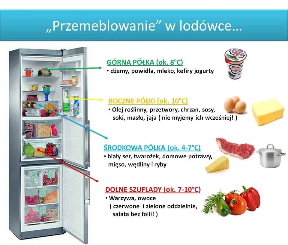 Gdzie najzimniej w lodówce? Przechowuj żywność jak ekspert!
